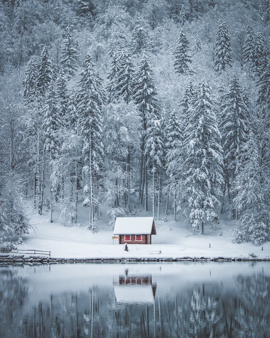 house field and tree covered with snow near body of water